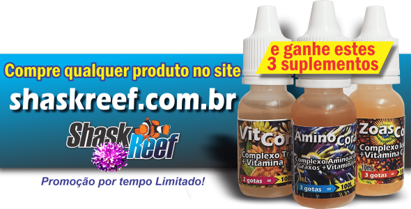 Compre-ganhe-shaskreef1
